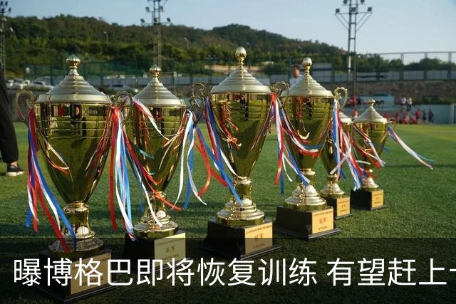 曝博格巴即将恢复训练 有望赶上卡塔尔世界杯